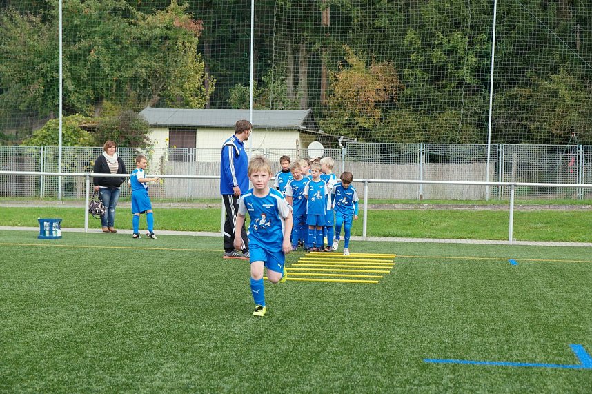 Mit Profis trainieren