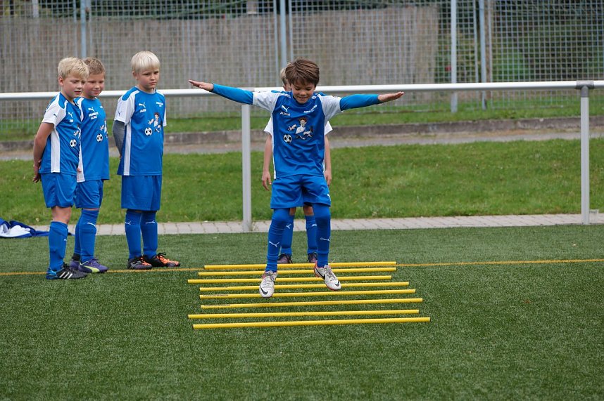 Mit Profis trainieren