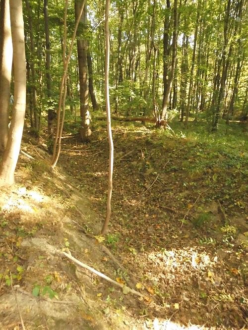 Wanderung durch den Harz