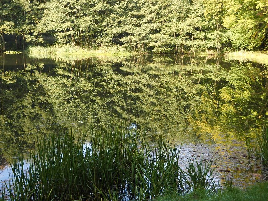 Wanderung durch den Harz