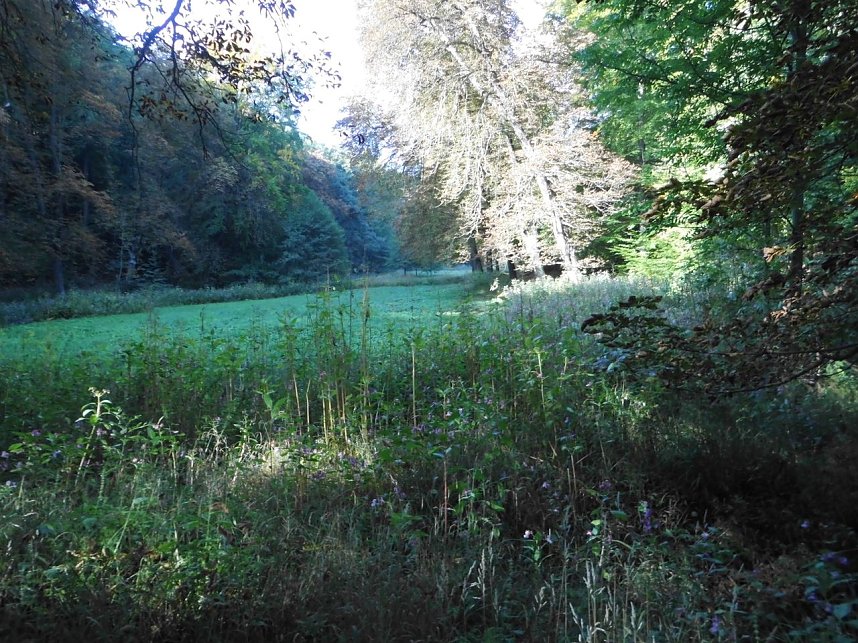 Wanderung durch den Harz