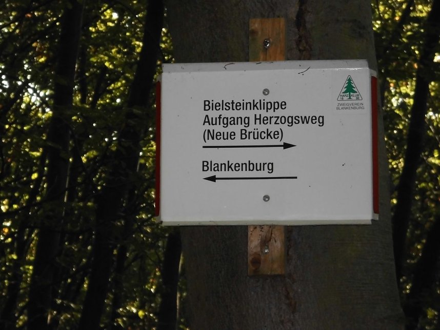 Wanderung durch den Harz