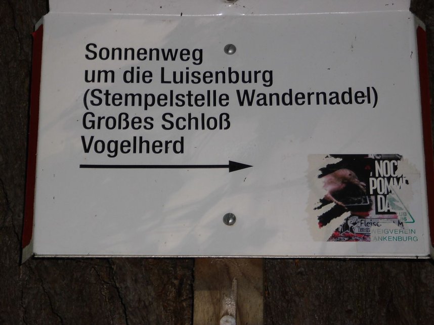 Wanderung durch den Harz