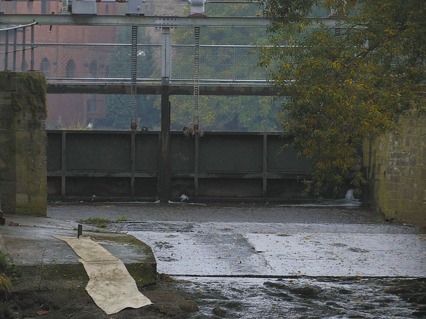 Saalem&uuml;hle bei Bernburg