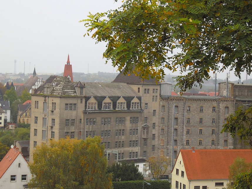 Saalem&uuml;hle bei Bernburg