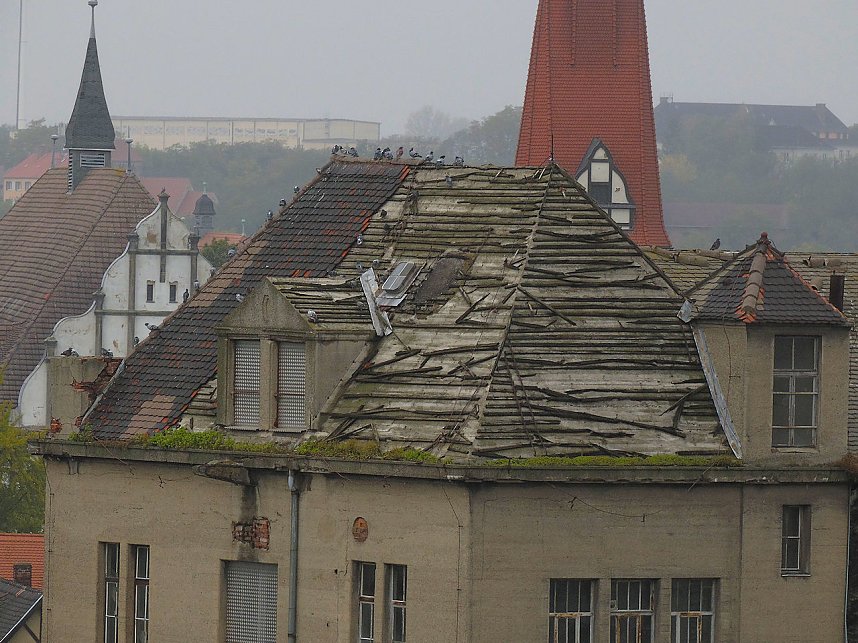 Saalem&uuml;hle bei Bernburg