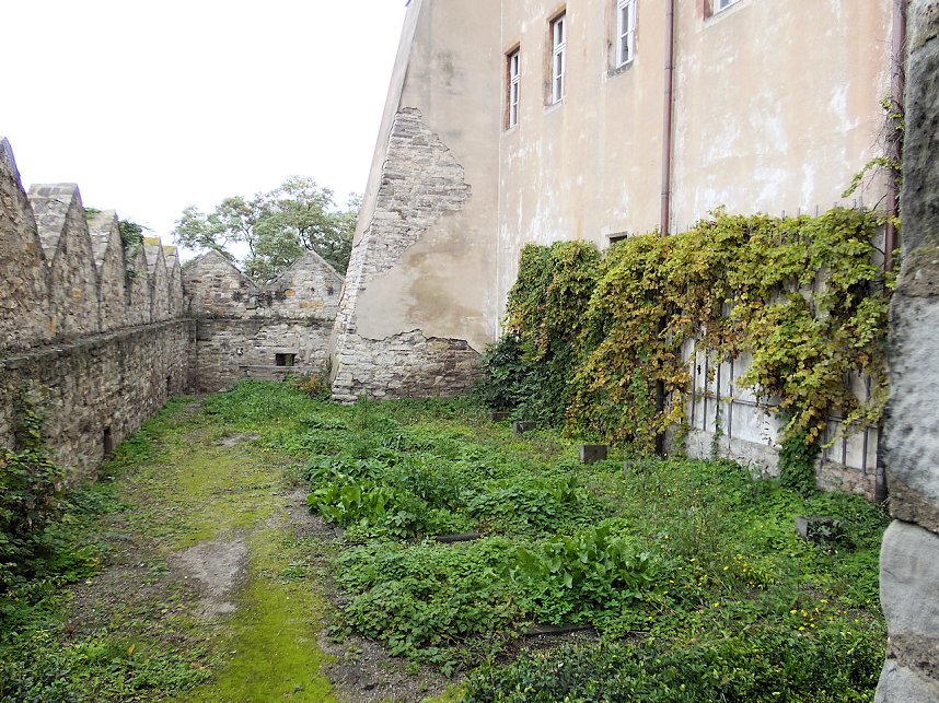 Unterwegs auf Schloss Bernburg