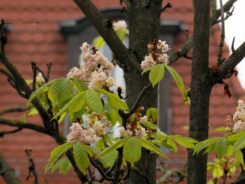 Unterwegs auf Schloss Bernburg