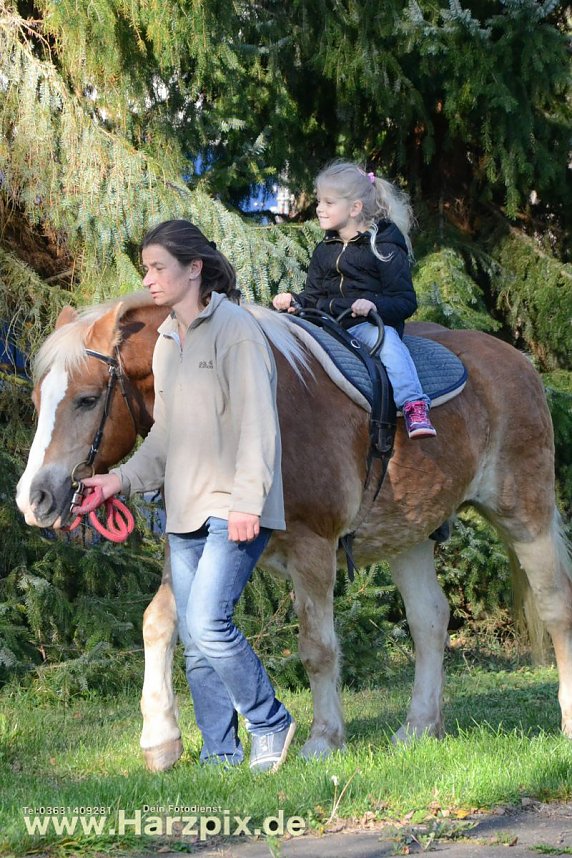 Multikulturellen Stra&szlig;enfest