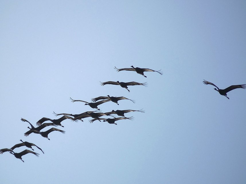 Die Flugschau ist er&ouml;ffnet