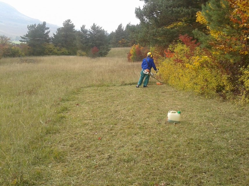 Gem&auml;ht und geharkt