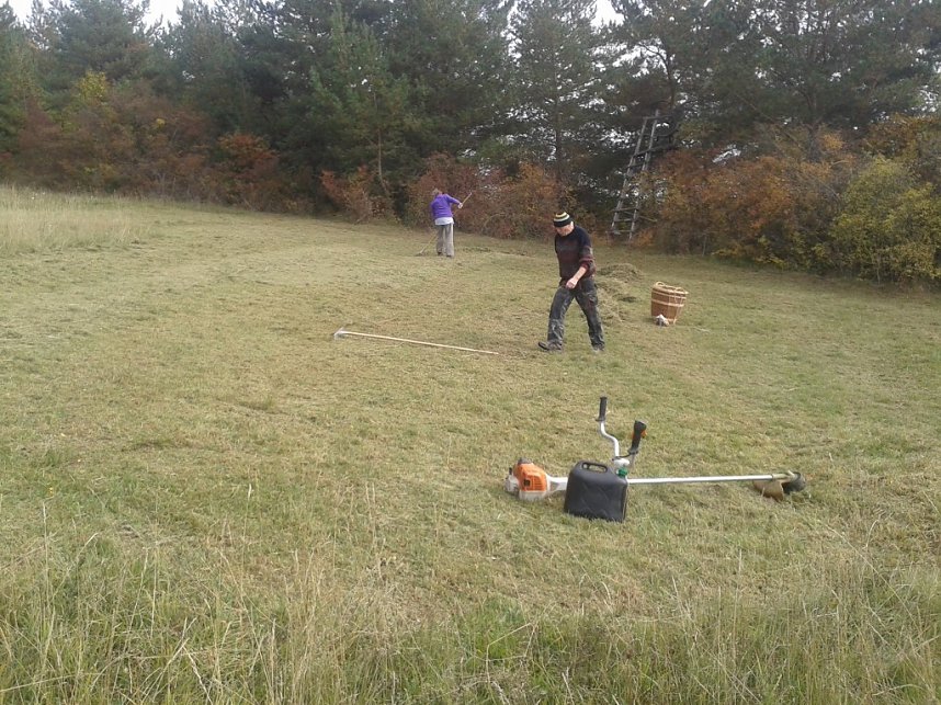 Gem&auml;ht und geharkt