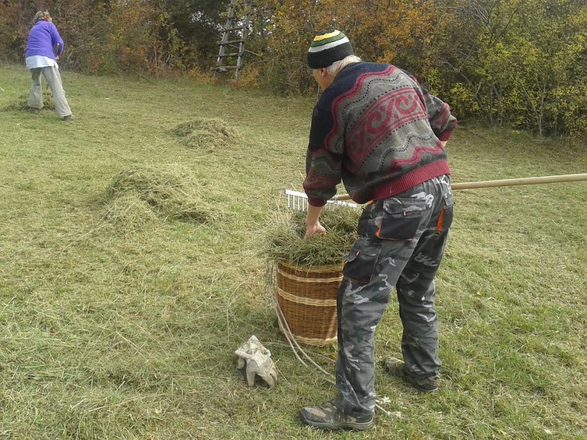 Gem&auml;ht und geharkt