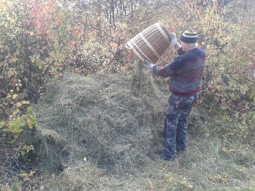 Gem&auml;ht und geharkt