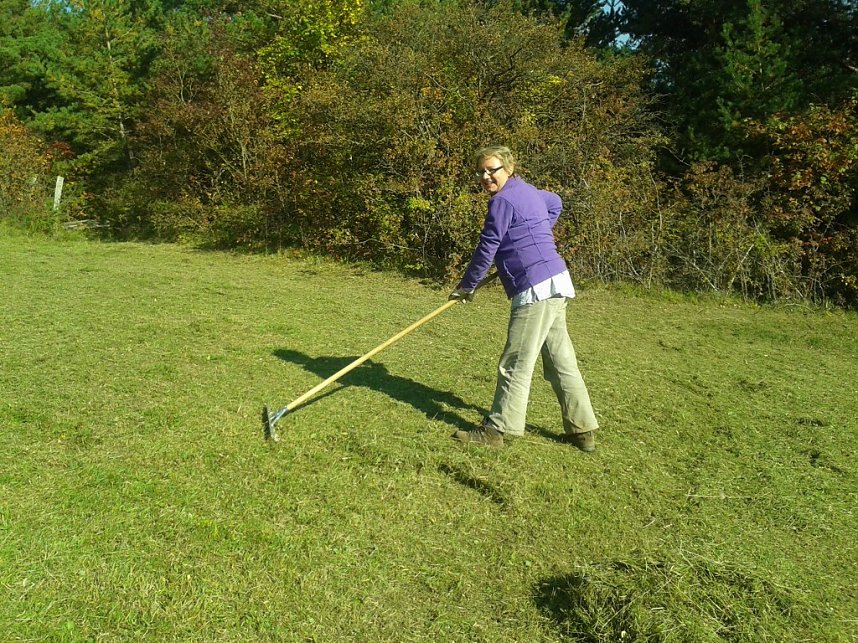 Gem&auml;ht und geharkt
