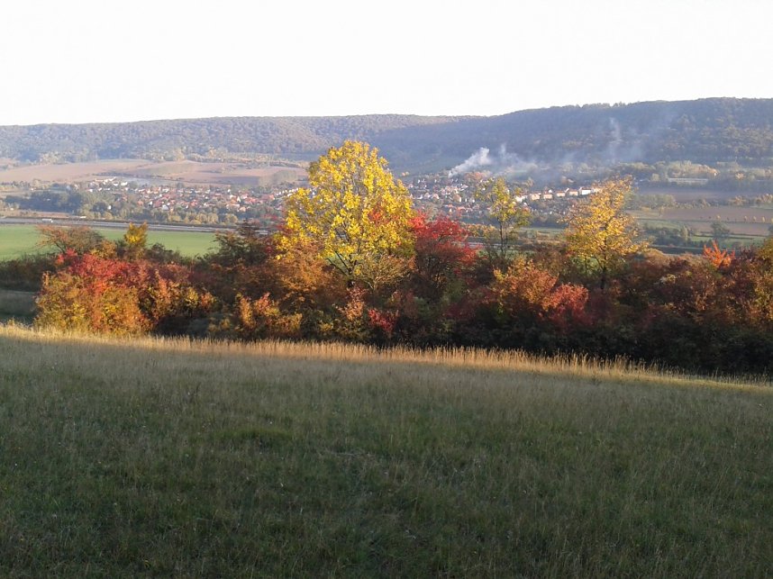 Gem&auml;ht und geharkt