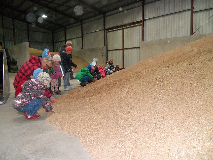 Die Petersdorfer Eichenbergzwerge auf Entdeckertour