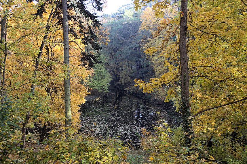 Herbstfarben am Panoramaweg bei Blankenburg