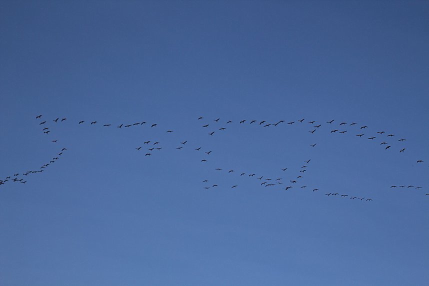 Herbstfarben am Panoramaweg bei Blankenburg