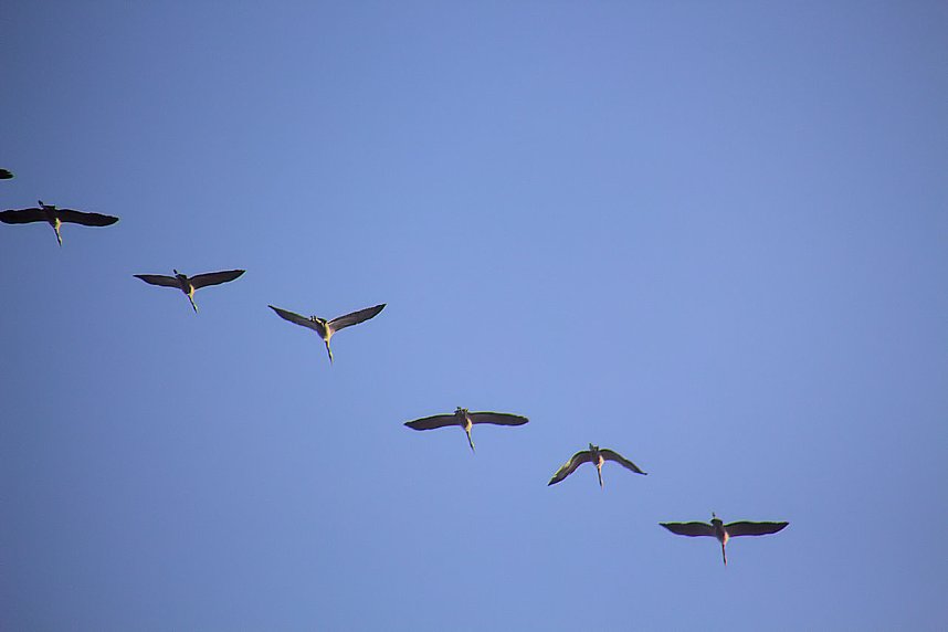 Herbstfarben am Panoramaweg bei Blankenburg