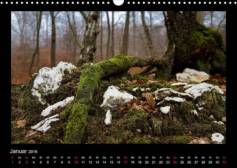 Am Karstwanderweg im S&uuml;dharz