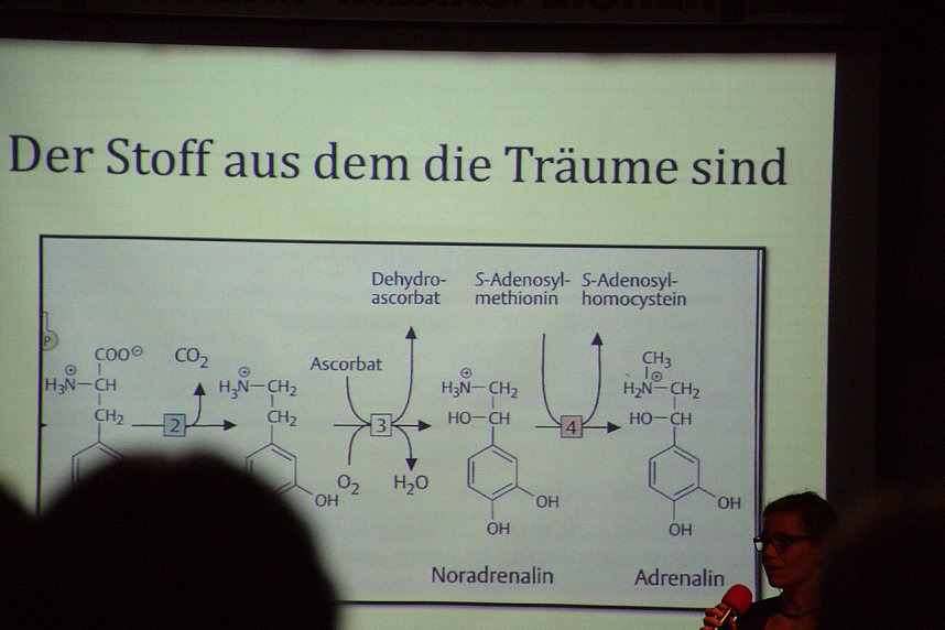 Zweite Nordh&auml;user Pecha Kucha Nacht im Tabakspeicher