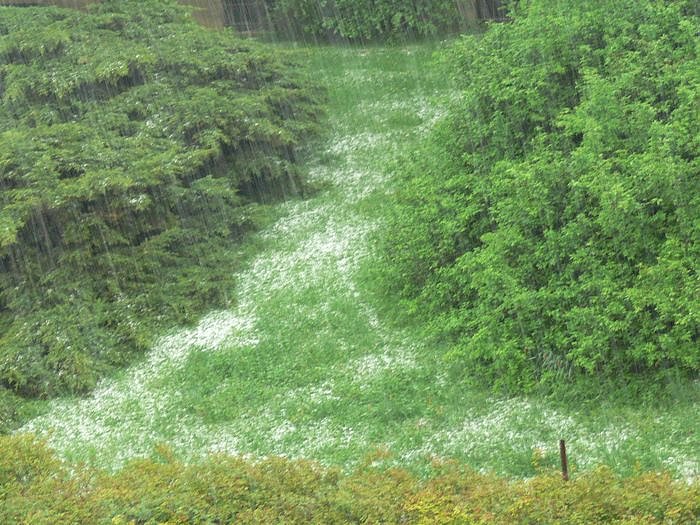 Potzblitz und Hagelkorn