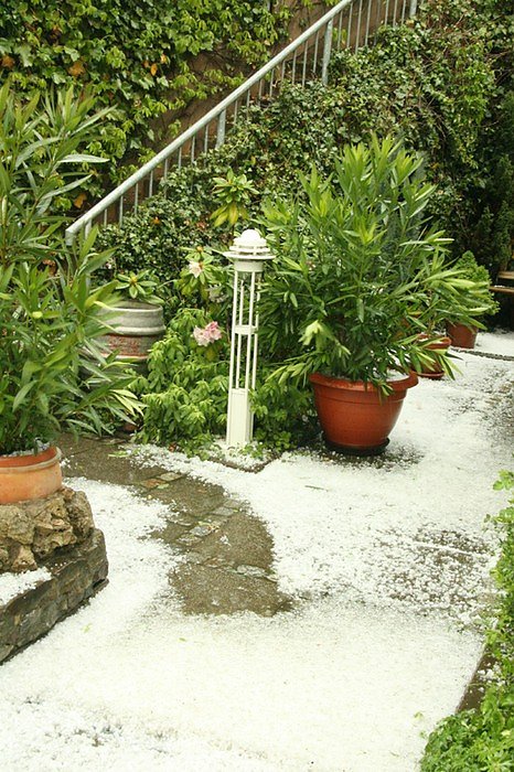 Unwetter in der Nordh&auml;user Altstadt