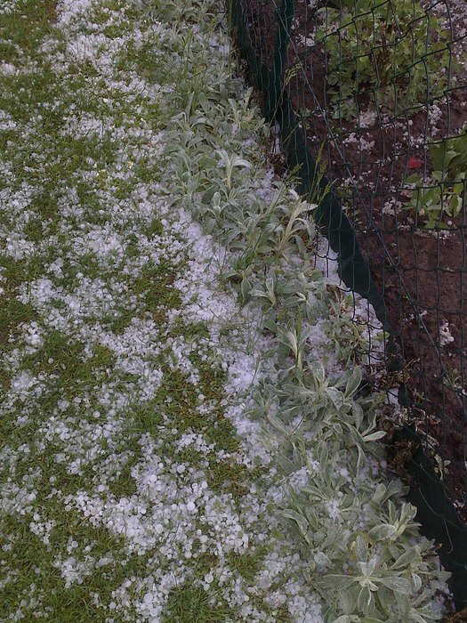 Unwetter in Nordhausen