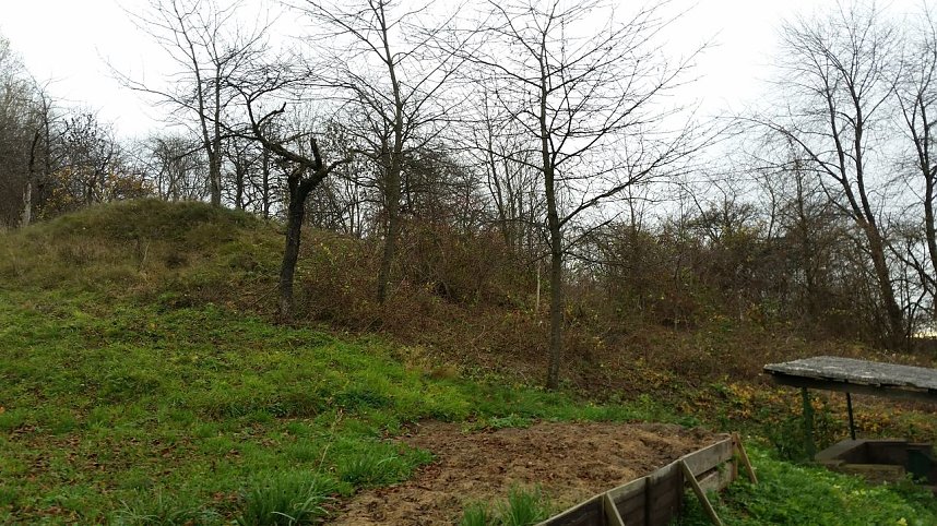 25 B&auml;ume gepflanzt