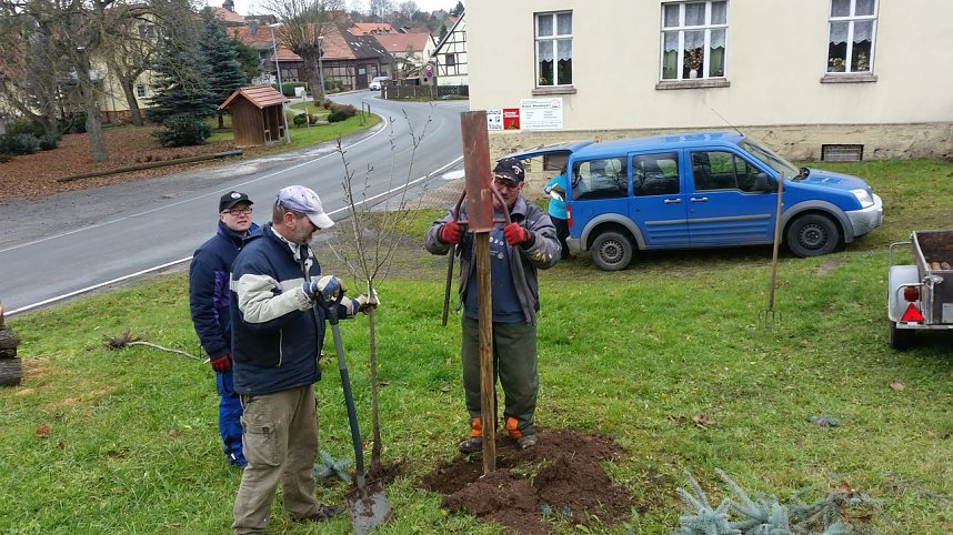 25 B&auml;ume gepflanzt