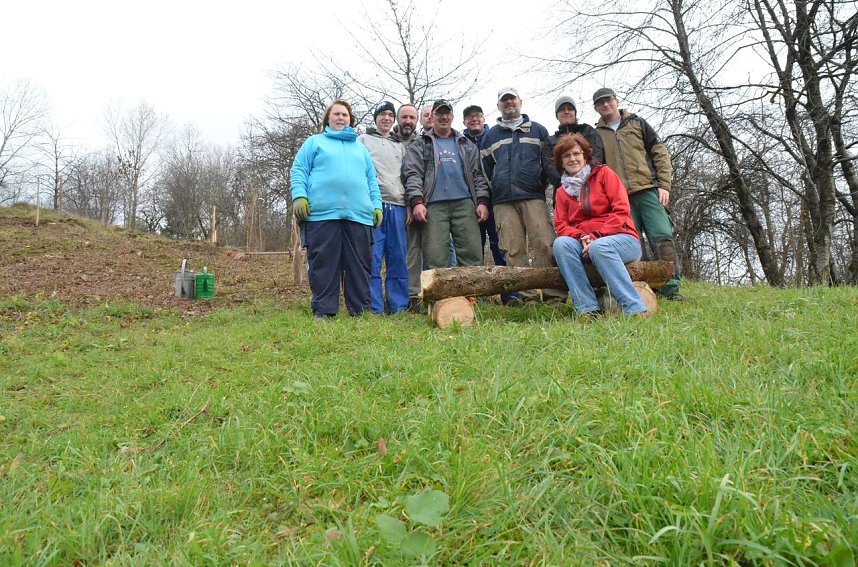 25 B&auml;ume gepflanzt