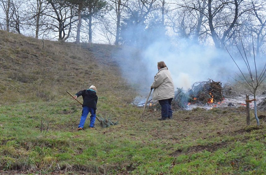 25 B&auml;ume gepflanzt