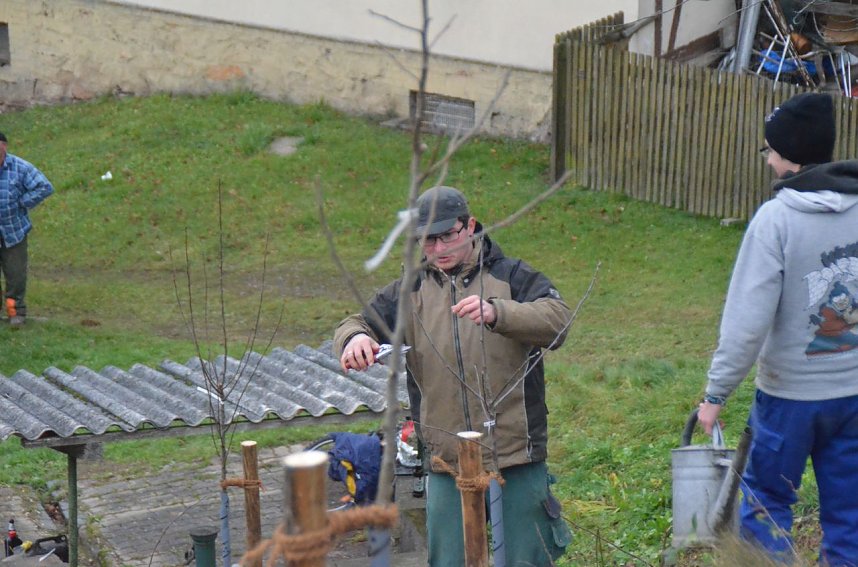 25 B&auml;ume gepflanzt