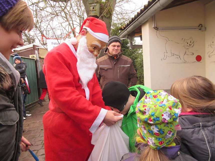 Weihnachtsmarkt im Tierheim