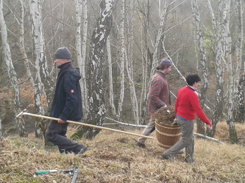 Teilnehmerrekord bei BUND-Aktion