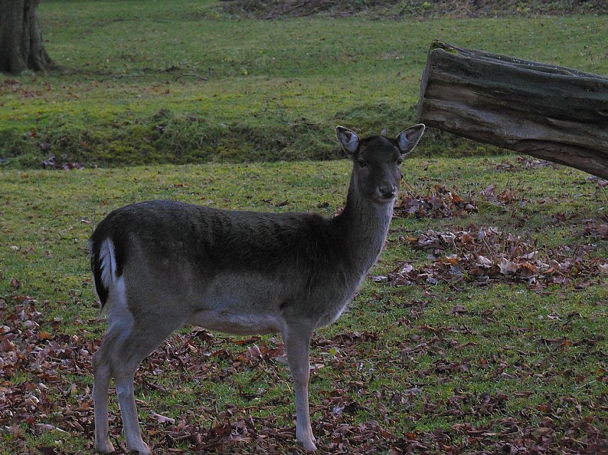Sonntags im Stadtpark