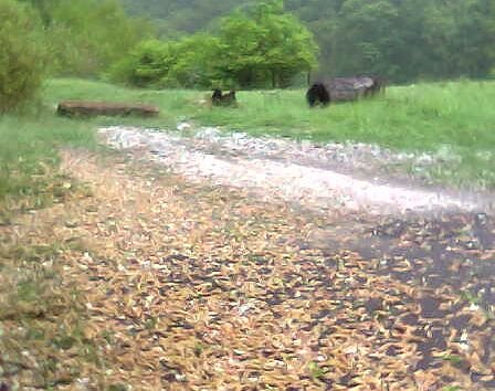 Unwetter &uuml;ber Krimderode