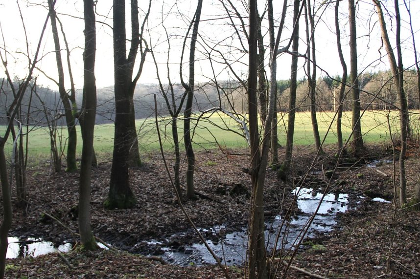 Dezembertag an der Talsperre Neustadt