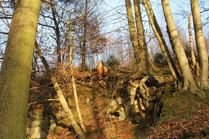 Dezembertag an der Talsperre Neustadt