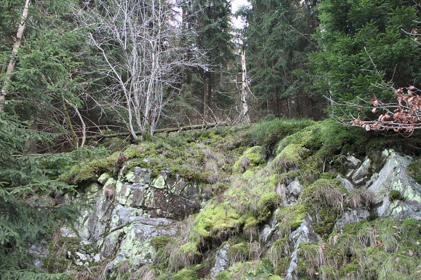 Dezembertag an der Talsperre Neustadt