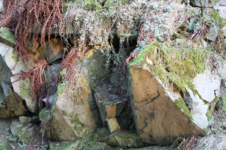 Dezembertag an der Talsperre Neustadt