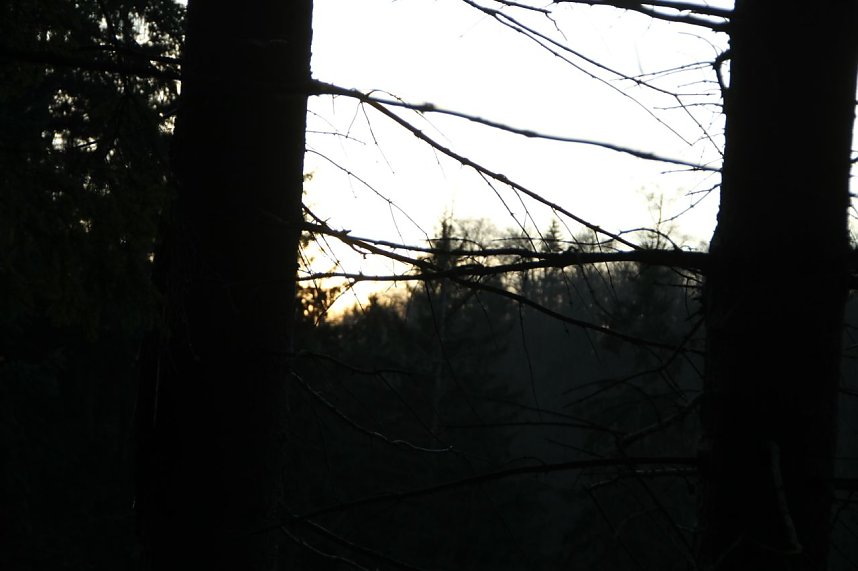 Dezembertag an der Talsperre Neustadt