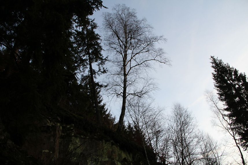 Dezembertag an der Talsperre Neustadt