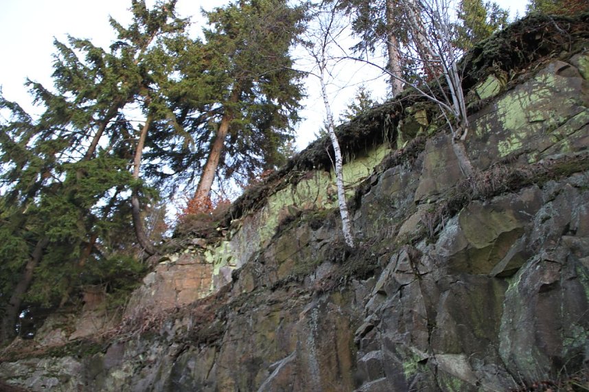 Dezembertag an der Talsperre Neustadt