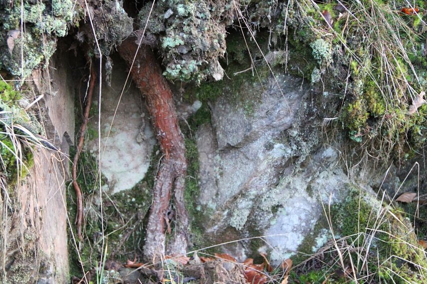 Dezembertag an der Talsperre Neustadt