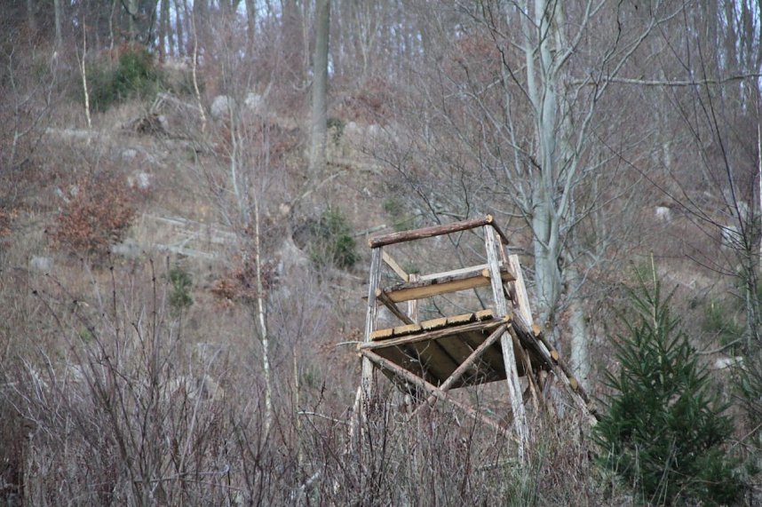 Dezembertag an der Talsperre Neustadt