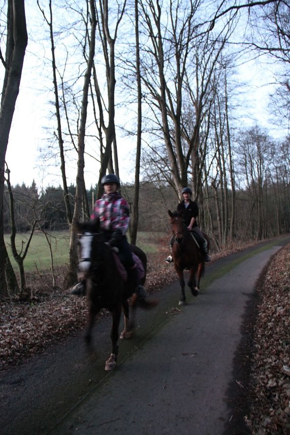 Dezembertag an der Talsperre Neustadt