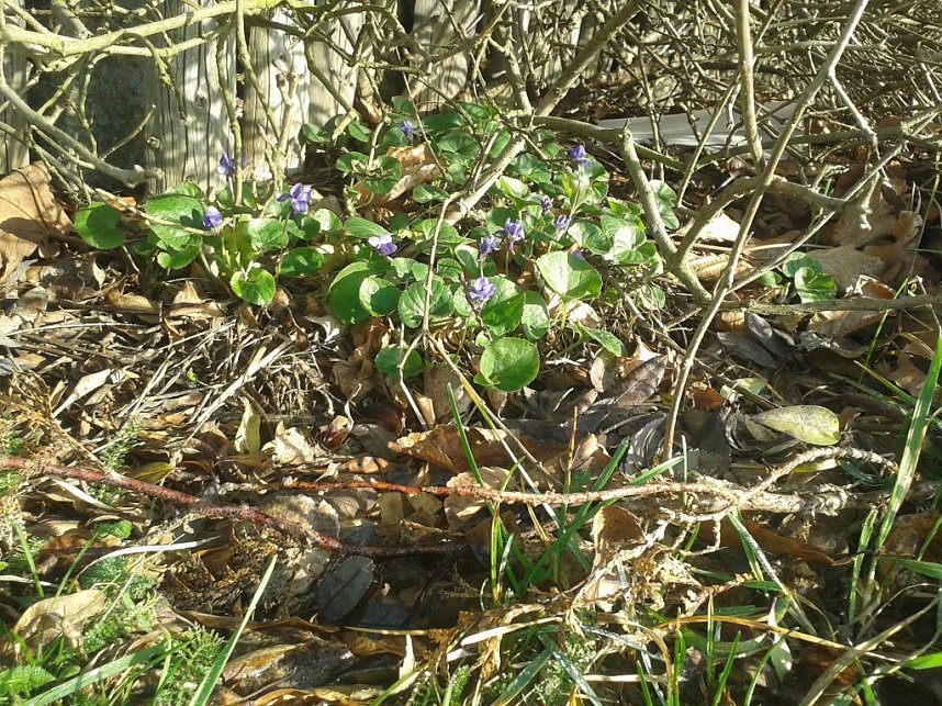 Abschluss der Wandersaison im Vogtland