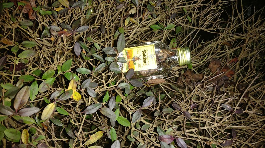 Bilder einer Nordh&auml;user Silvesternacht